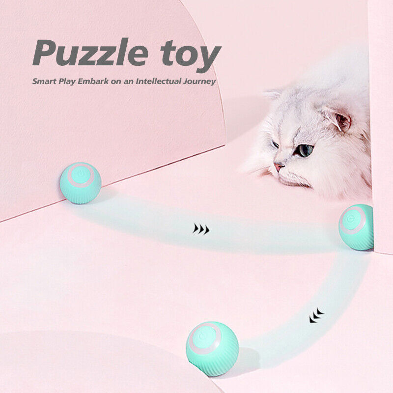 Power Ball 2.0 Cat Toy