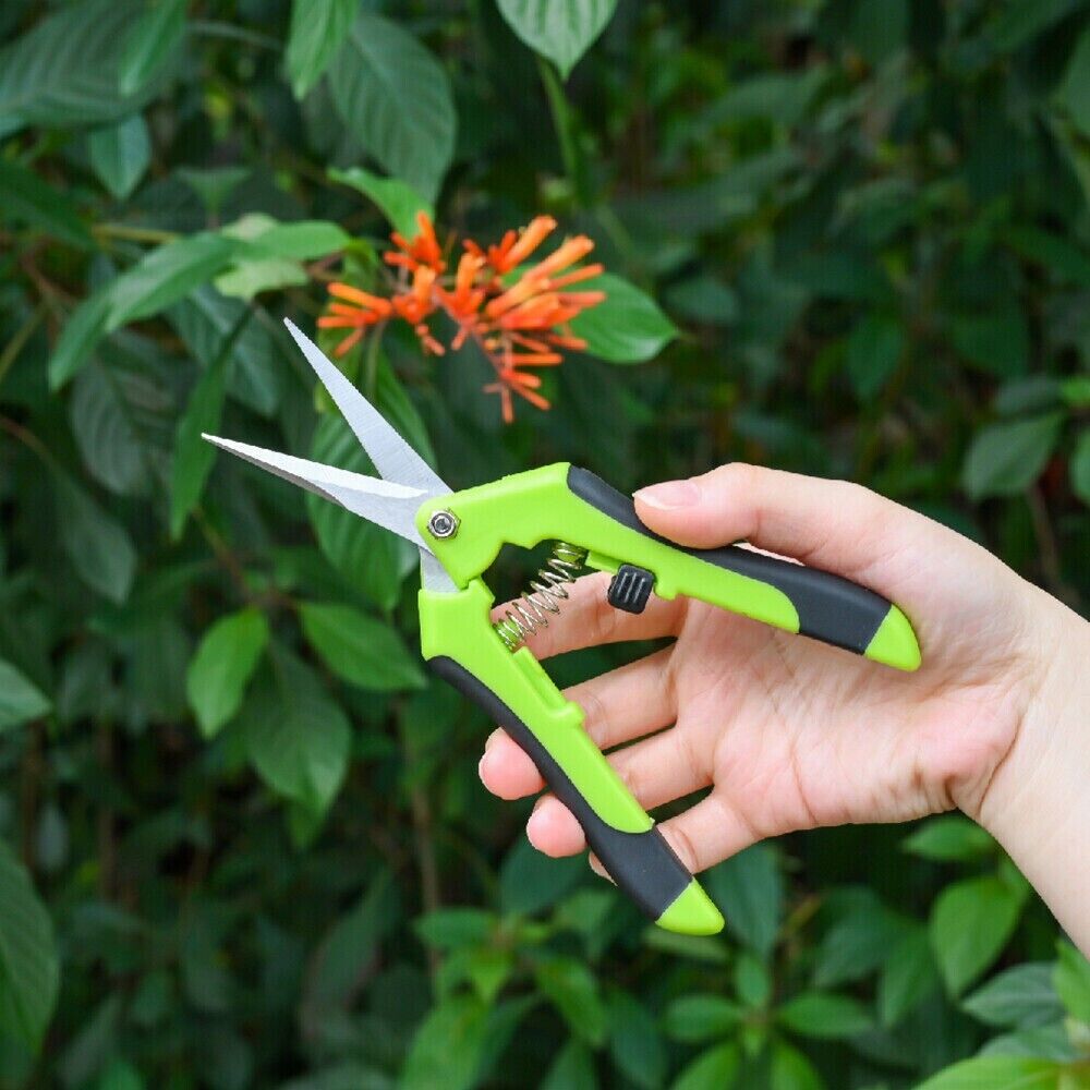 Pruning Shears Plant Scissors Trim Trees Snips Branch Garden Secateurs