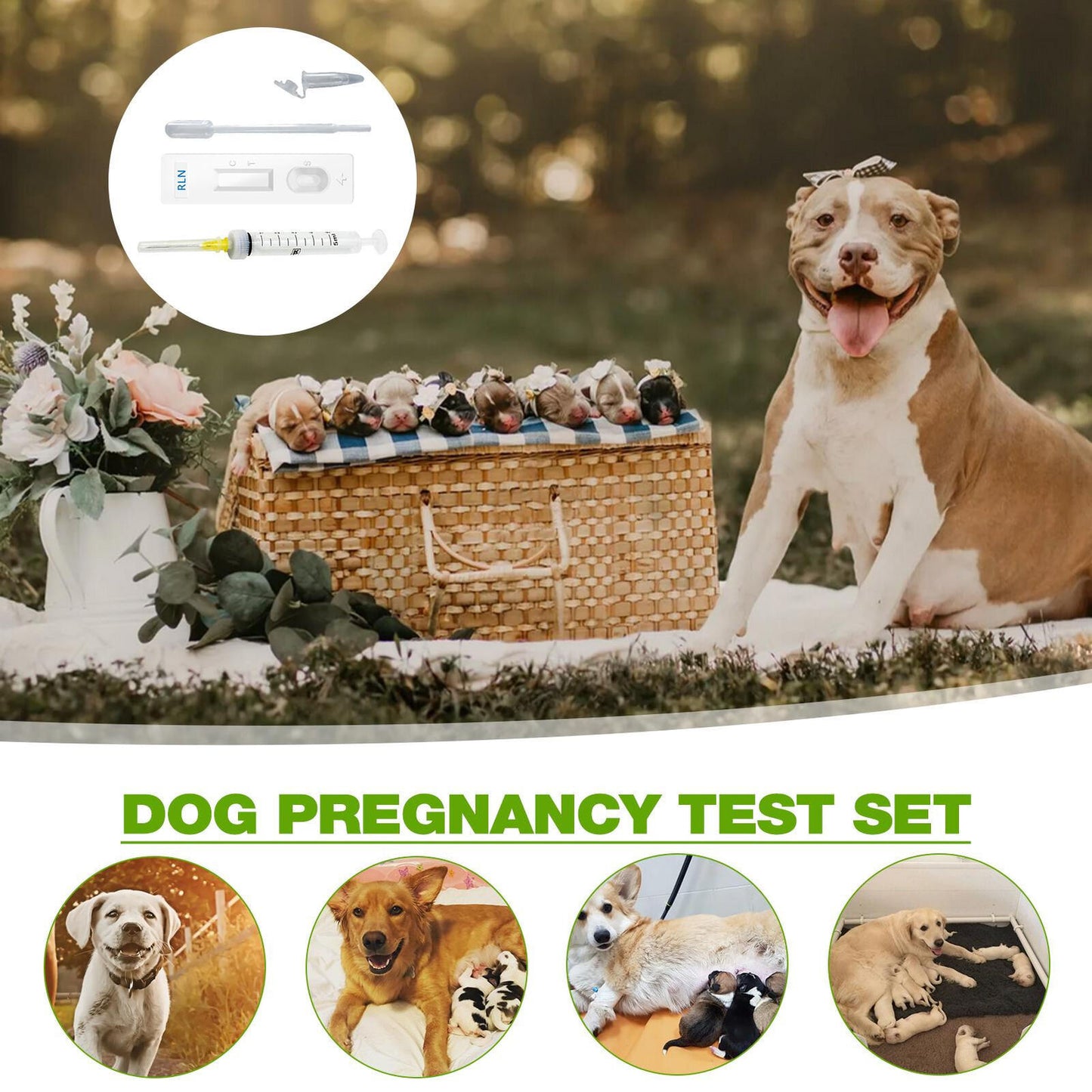 4Pcs/Set Canine Early Pregnancy Detection Test Strips Kits for Dog, Medical Kits