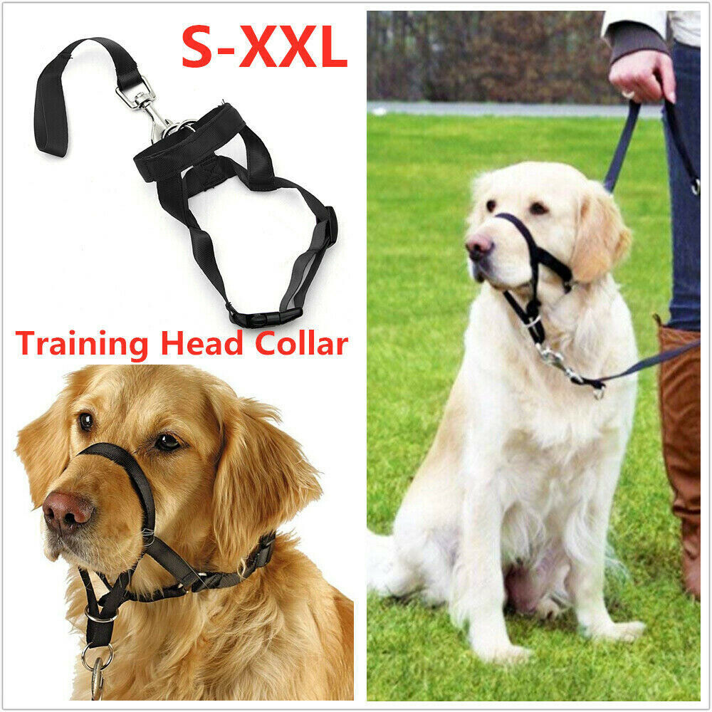 Dogalter Dog Halter Halti Nylon Training Head Collar Strap Gentle Leader Harness