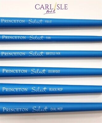 Princeton Select 3750 - Mop,Wash,Deerfoot,Fan,Fix-It - Choose Your Brush